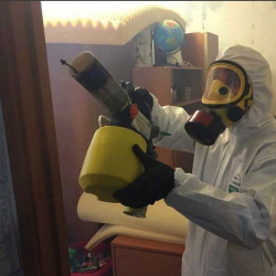 Уничтожение клопов в квартире. Мглин